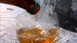 remedio casero cerveza insecto